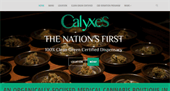 Desktop Screenshot of calyxes.com