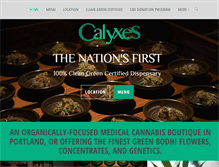 Tablet Screenshot of calyxes.com